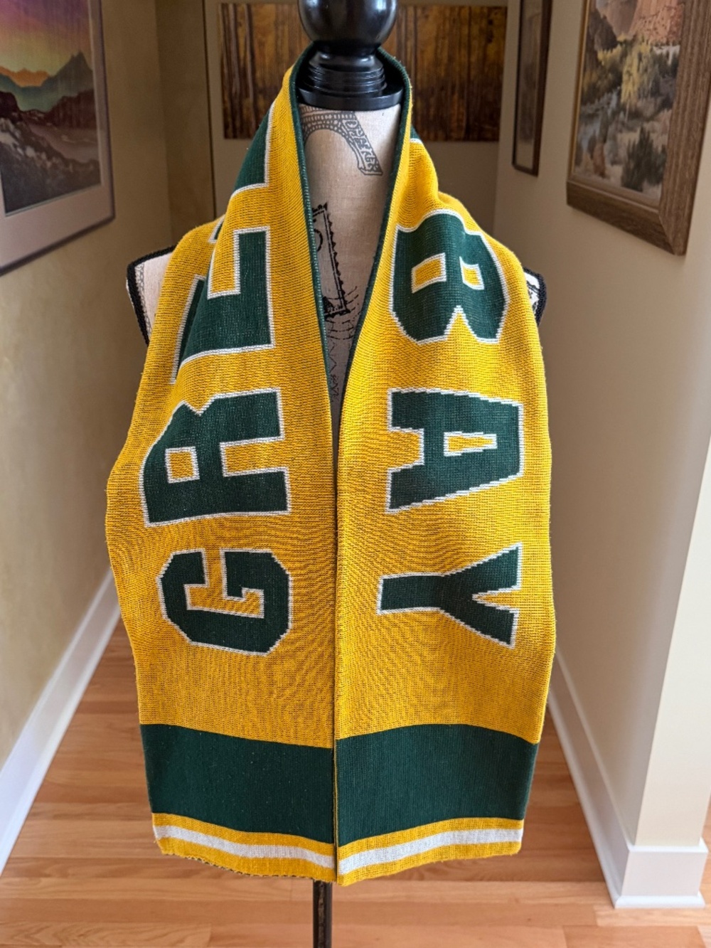 Green Bay Packers Knit Winter Scarf